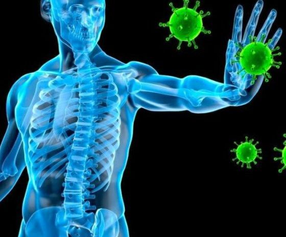 Una vez dentro de nuestro cuerpo el SARS-CoV-2 ¿Qué hace? ¿Cómo reacciona nuestro cuerpo para eliminarlo? y ¿Cómo podemos mejorar nuestro Sistema Inmunitario?