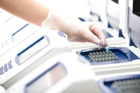 ¿Sabéis lo que es la PCR? No, no es que te metan “el palito por la nariz”